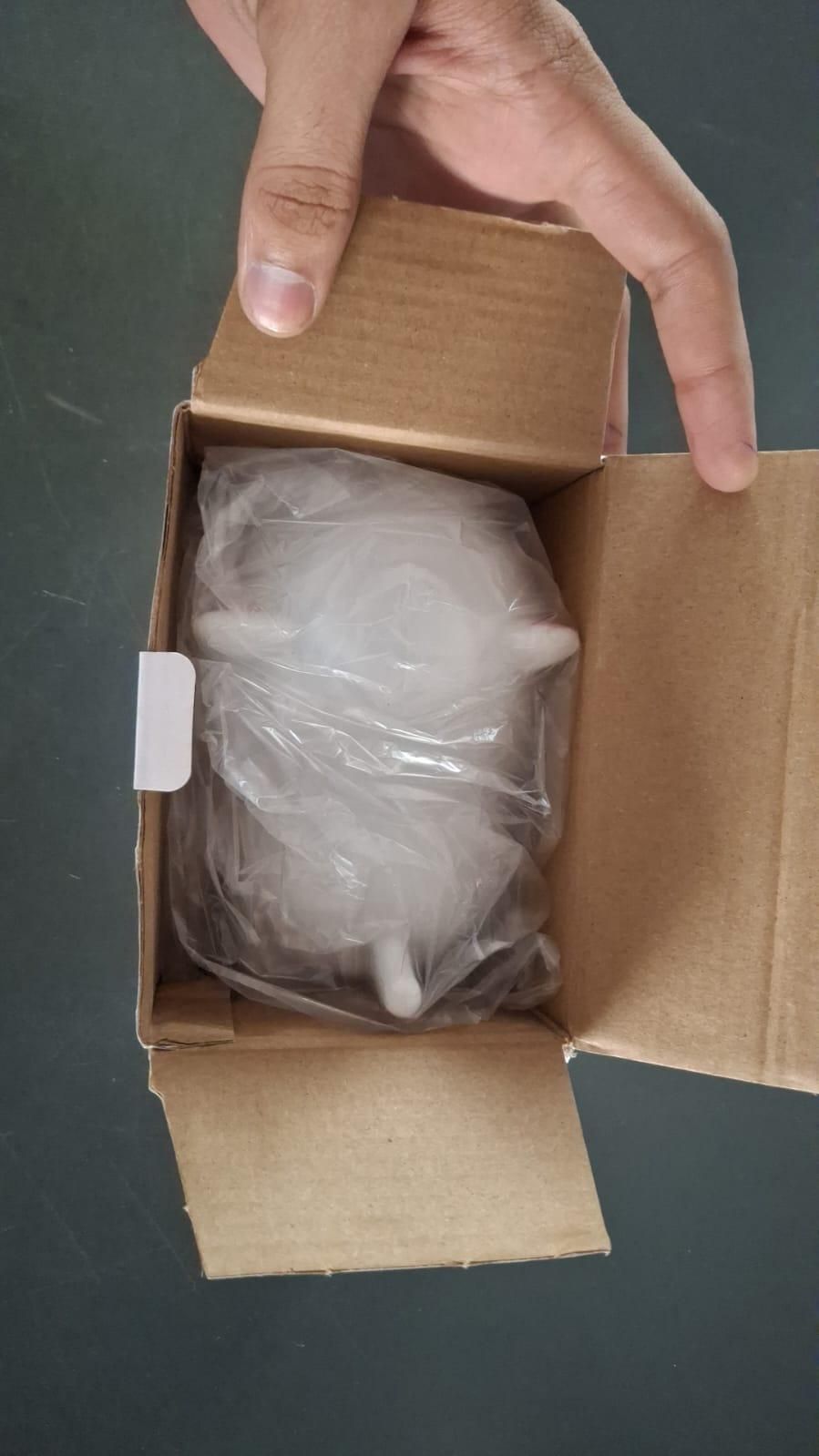 Soft glow cat light for kids packaged inside a small cardboard box held by a hand